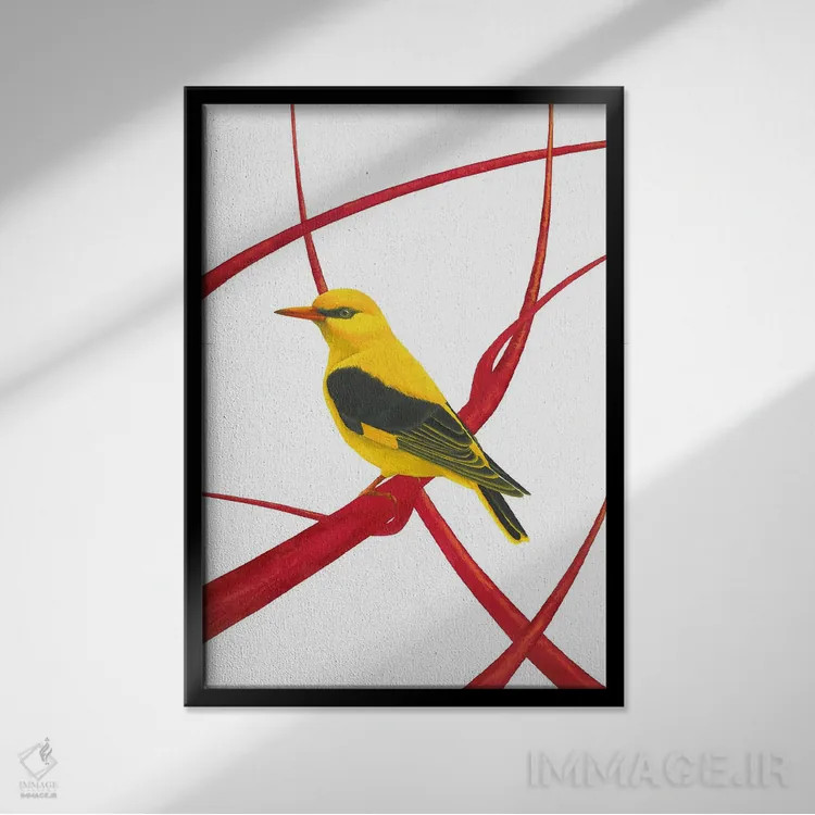 تابلو دکوراتیو بلبل طلایی II اثر کارینا دانیلچوک - نمای قابدار مشکی