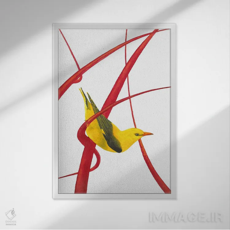 تابلو دکوراتیو بلبل طلایی I اثر کارینا دانیلچوک - نمای قابدار سفید