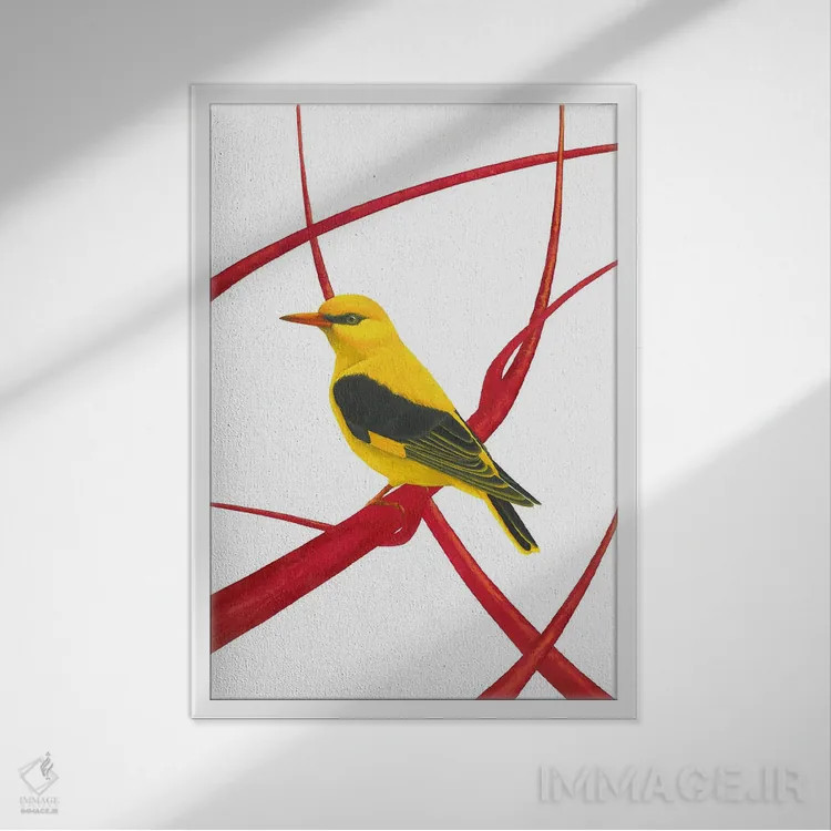 تابلو دکوراتیو بلبل طلایی II اثر کارینا دانیلچوک - نمای قابدار سفید