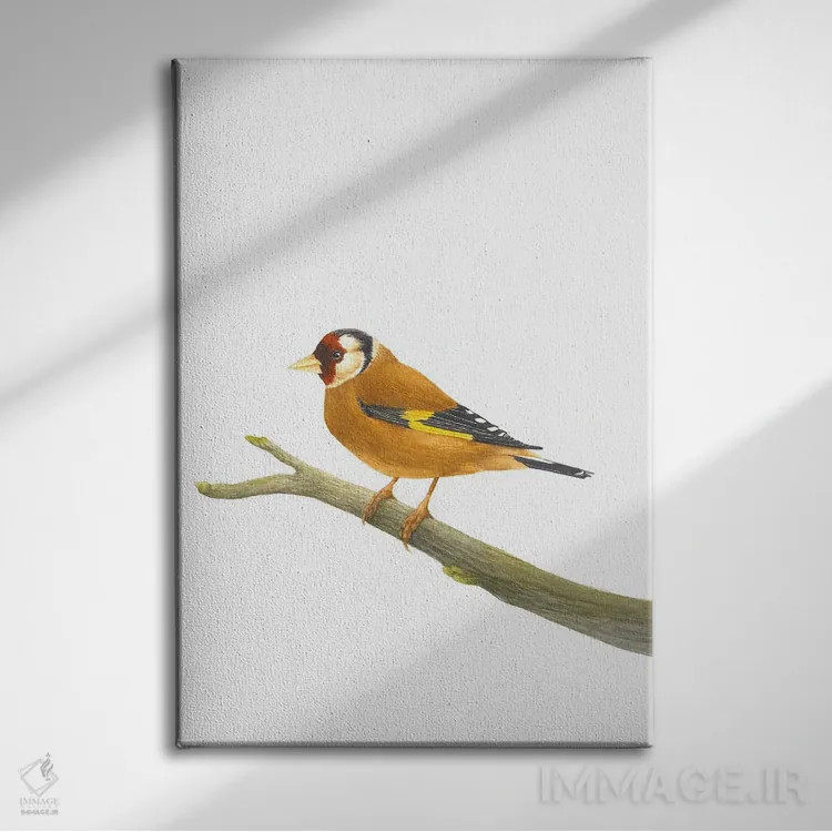 تابلو دکوراتیو فنچ طلایی روی شاخه اثر کارینا دانیلچوک - نمای روبهرو روی دیوار