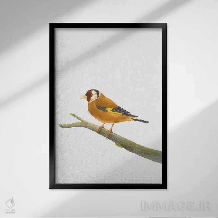 تابلو دکوراتیو فنچ طلایی روی شاخه اثر کارینا دانیلچوک - نمای قابدار مشکی
