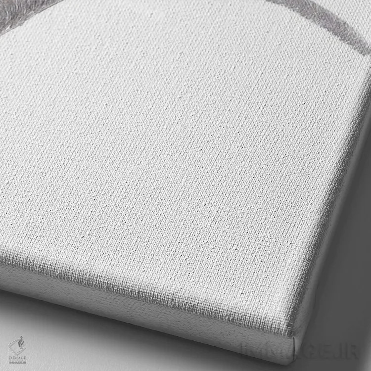 تابلو دکوراتیو پرنده الهام گرفته اثر کارینا دانیلچوک - نمای نزدیک بافت بوم