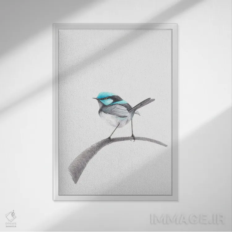 تابلو دکوراتیو پرنده الهام گرفته اثر کارینا دانیلچوک - نمای قابدار سفید