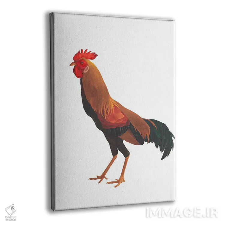 تابلو دکوراتیو خروس اوکراینی اثر کارینا دانیلچوک - نمای پرسپکتیو محصول