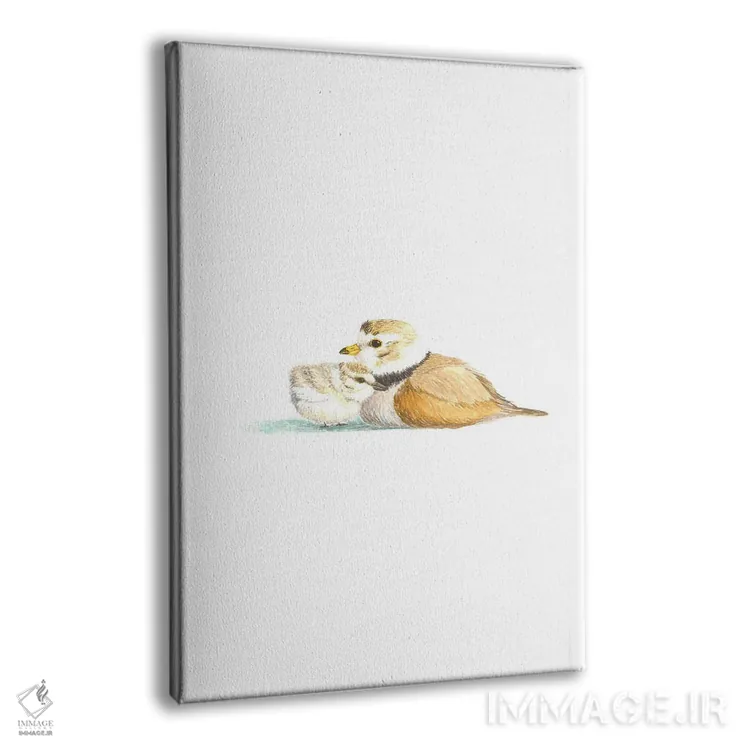 تابلو دکوراتیو پلوور کنتیش اثر کارینا دانیلچوک - نمای پرسپکتیو محصول