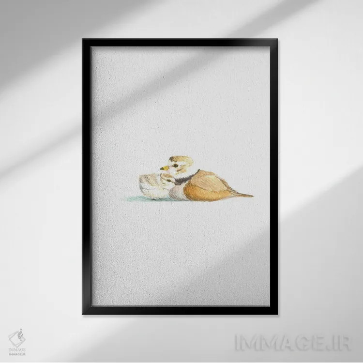 تابلو دکوراتیو پلوور کنتیش اثر کارینا دانیلچوک - نمای قابدار مشکی