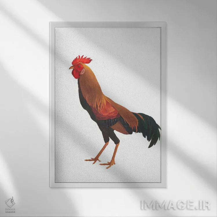 تابلو دکوراتیو خروس اوکراینی اثر کارینا دانیلچوک - نمای قابدار سفید