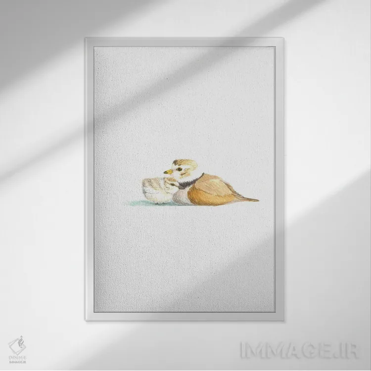 تابلو دکوراتیو پلوور کنتیش اثر کارینا دانیلچوک - نمای قابدار سفید