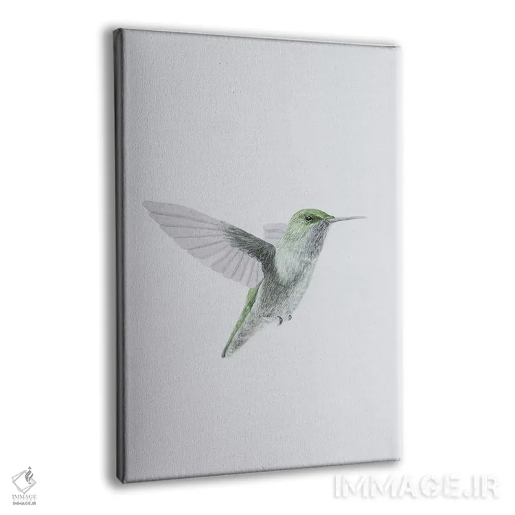 تابلو مینیمال مرغ مگس خوار در پرواز اثر کارینا دانیلچوک - نمای پرسپکتیو محصول