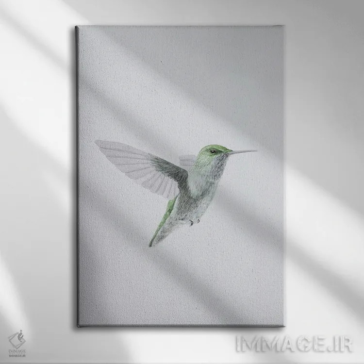 تابلو مینیمال مرغ مگس خوار در پرواز اثر کارینا دانیلچوک - نمای روبهرو روی دیوار