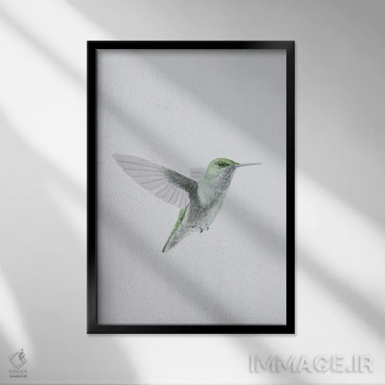 تابلو مینیمال مرغ مگس خوار در پرواز اثر کارینا دانیلچوک - نمای قابدار مشکی