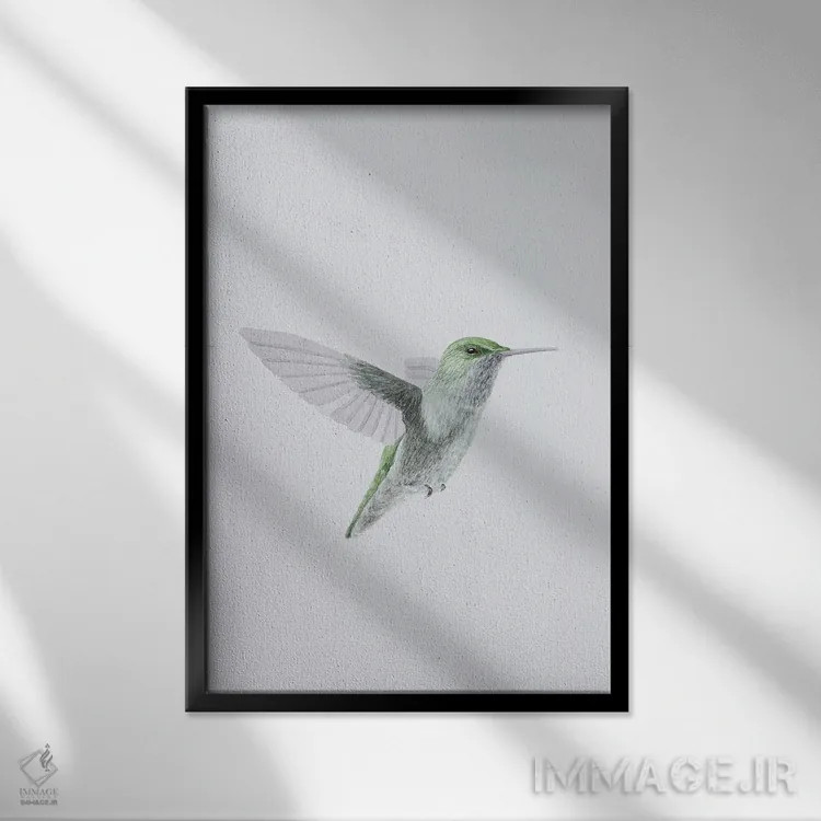 تابلو مینیمال مرغ مگس خوار در پرواز اثر کارینا دانیلچوک - نمای قابدار مشکی