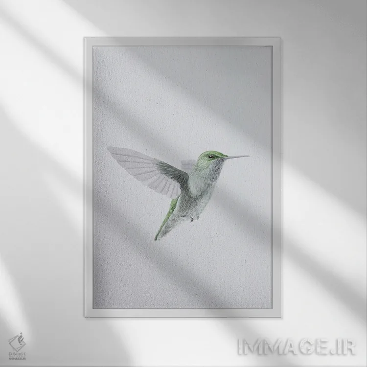 تابلو مینیمال مرغ مگس خوار در پرواز اثر کارینا دانیلچوک - نمای قابدار سفید