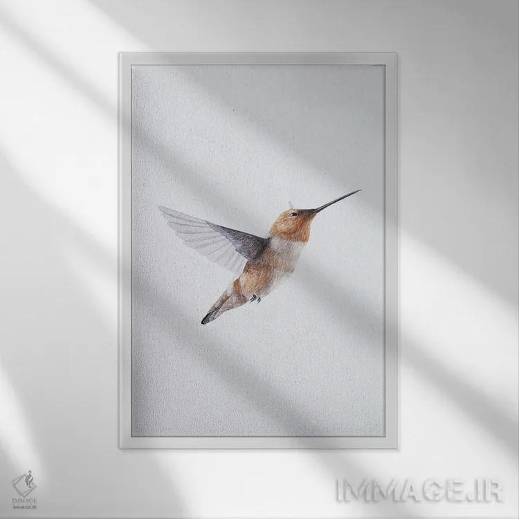 تابلو مینیمال مرغ مگس خوار قهوه ای اثر کارینا دانیلچوک - نمای قابدار سفید