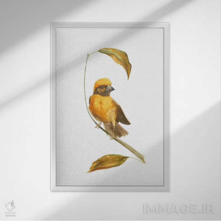 تابلو دکوراتیو طرح پرنده کوچک پاییزی اثر کارینا دانیلچوک - نمای قابدار سفید