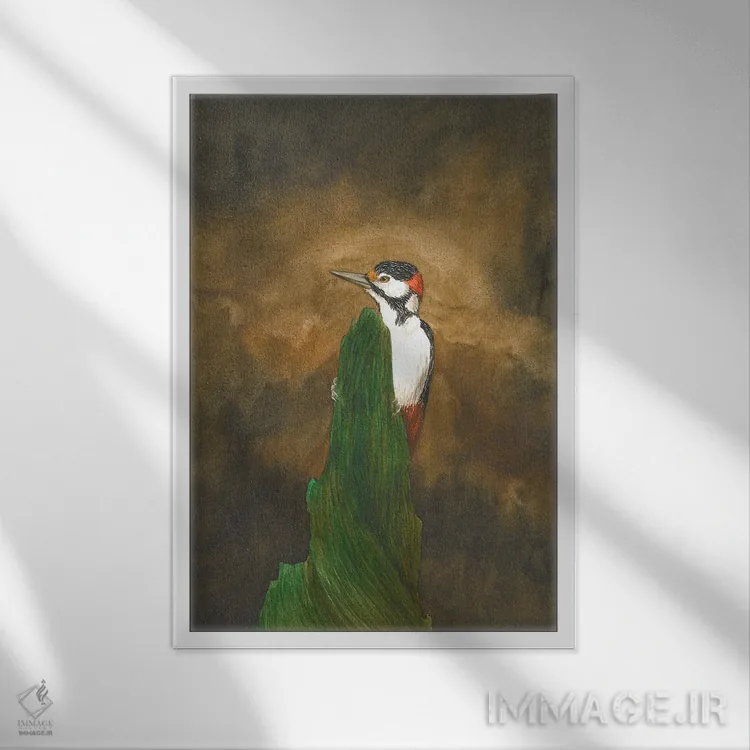 تابلو دکوراتیو دارکوب در جنگل اثر کارینا دانیلچوک - نمای قابدار سفید