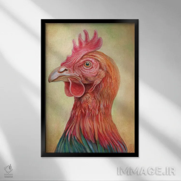 تابلو دکوراتیو مرغ اثر براندون کیهنر - نمای قابدار مشکی