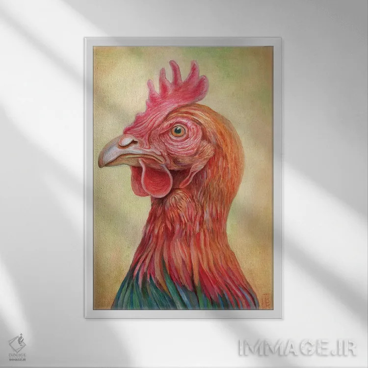 تابلو دکوراتیو مرغ اثر براندون کیهنر - نمای قابدار سفید