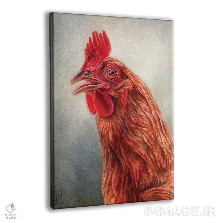 تابلو دکوراتیو مرغ قرمز اثر براندون کیهنر - نمای پرسپکتیو محصول