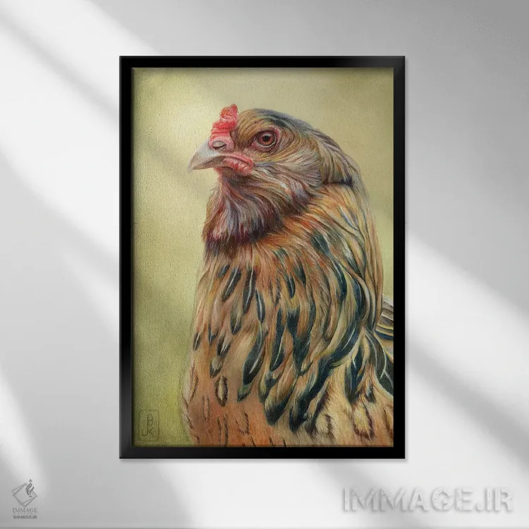 تابلو دکوراتیو ایگی اثر براندون کیهنر - نمای قابدار مشکی