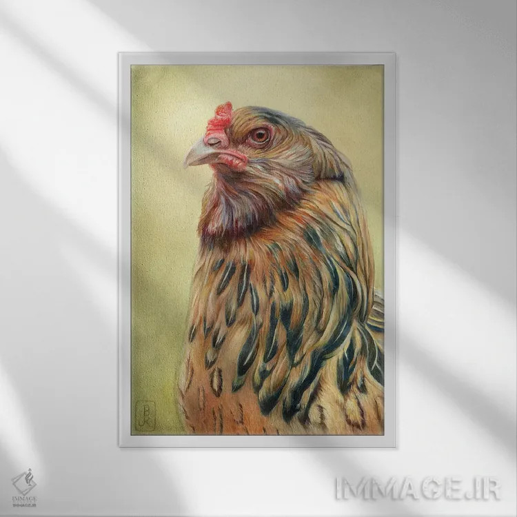 تابلو دکوراتیو ایگی اثر براندون کیهنر - نمای قابدار سفید