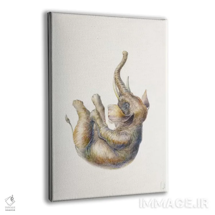 تابلو دکوراتیو فیل در حال سقوط اثر براندون کیهنر - نمای پرسپکتیو محصول