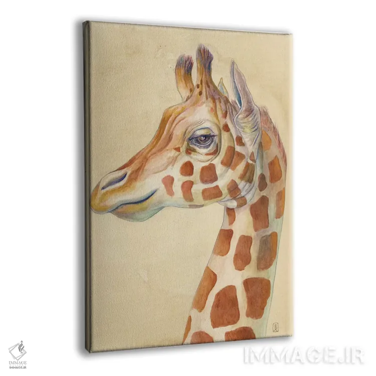 تابلو دکوراتیو نمای جانبی زرافه اثر براندون کیهنر - نمای پرسپکتیو محصول