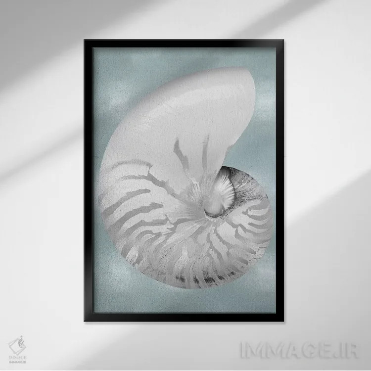 تابلو دکوراتیو صدف نقره ای روی آبی آکوایی II اثر کارولین کلی - نمای قابدار مشکی