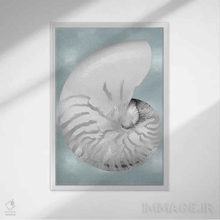 تابلو دکوراتیو صدف نقره ای روی آبی آکوایی II اثر کارولین کلی - نمای قابدار سفید