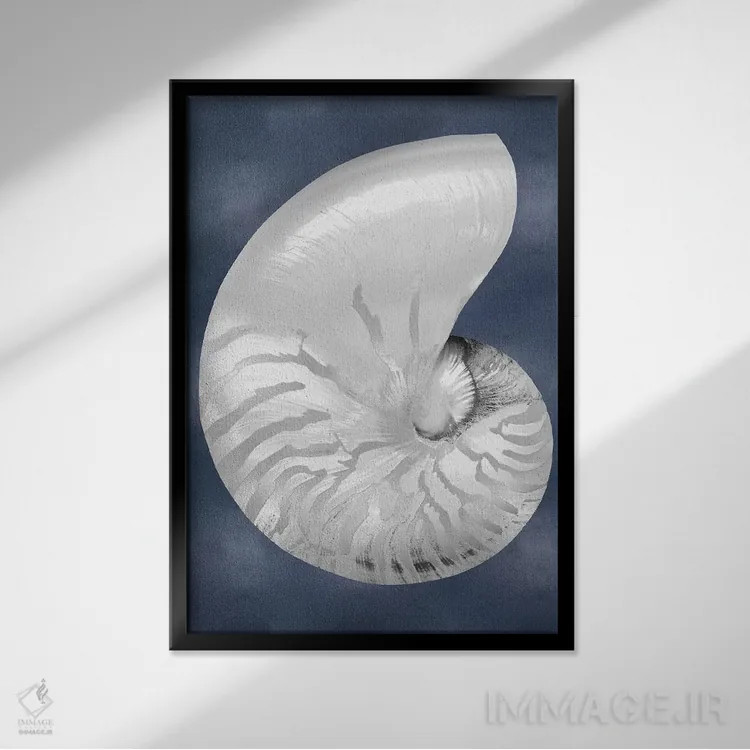 تابلو دکوراتیو صدف نقره ای روی آبی نیلی II اثر کارولین کلی - نمای قابدار مشکی