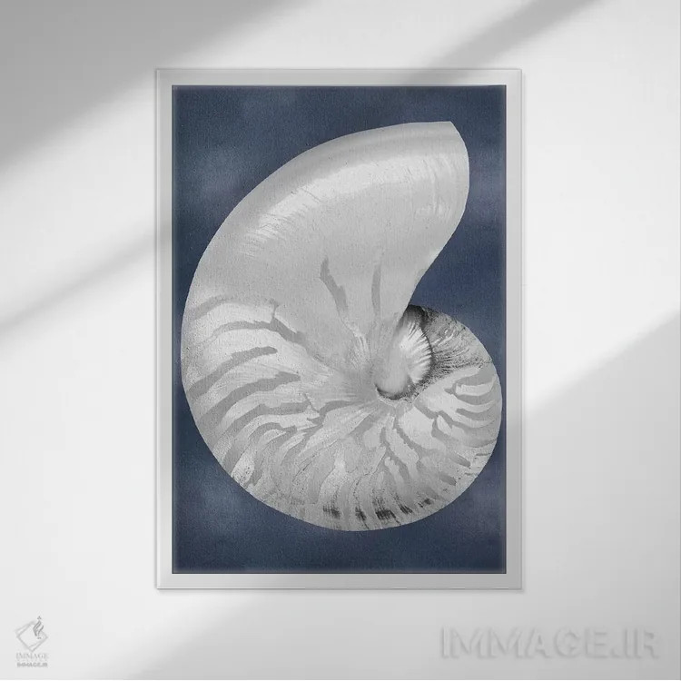 تابلو دکوراتیو صدف نقره ای روی آبی نیلی II اثر کارولین کلی - نمای قابدار سفید