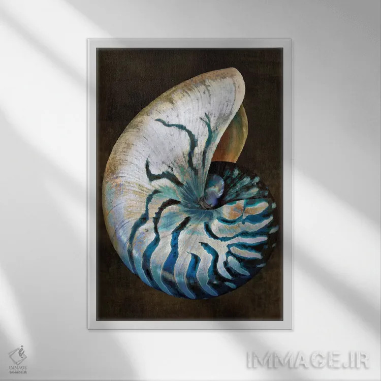 تابلو دکوراتیو گنجینه اقیانوس IV اثر کارولین کلی - نمای قابدار سفید