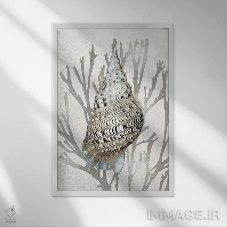 تابلو دکوراتیو مرجان صدفی نقره ای I اثر کارولین کلی - نمای قابدار سفید