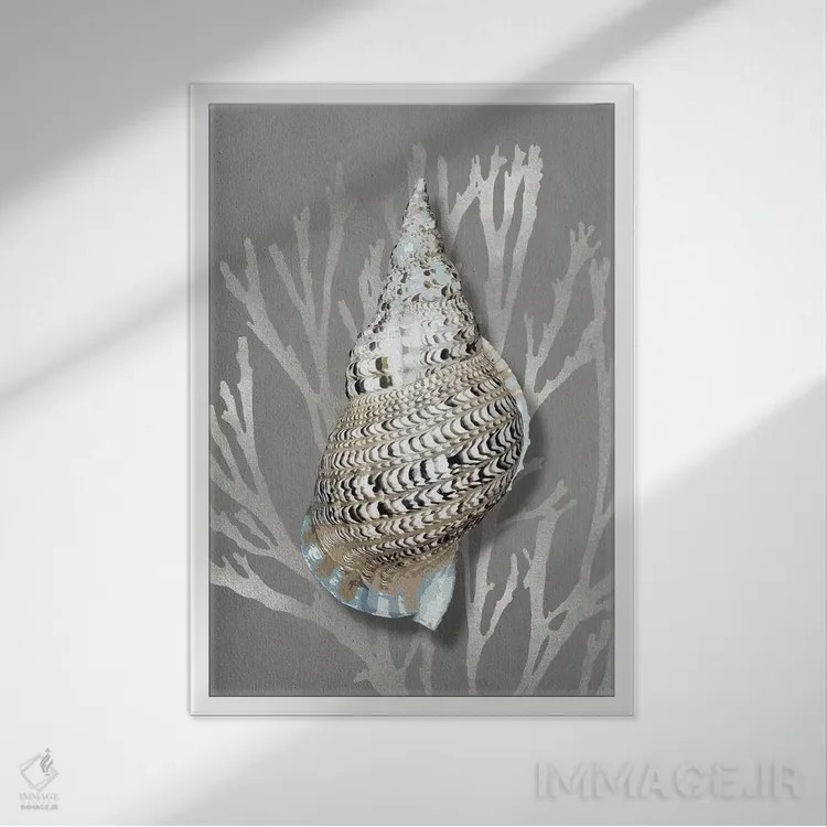 تابلو دکوراتیو مرجان صدفی نقره ای روی خاکستری I اثر کارولین کلی - نمای قابدار سفید