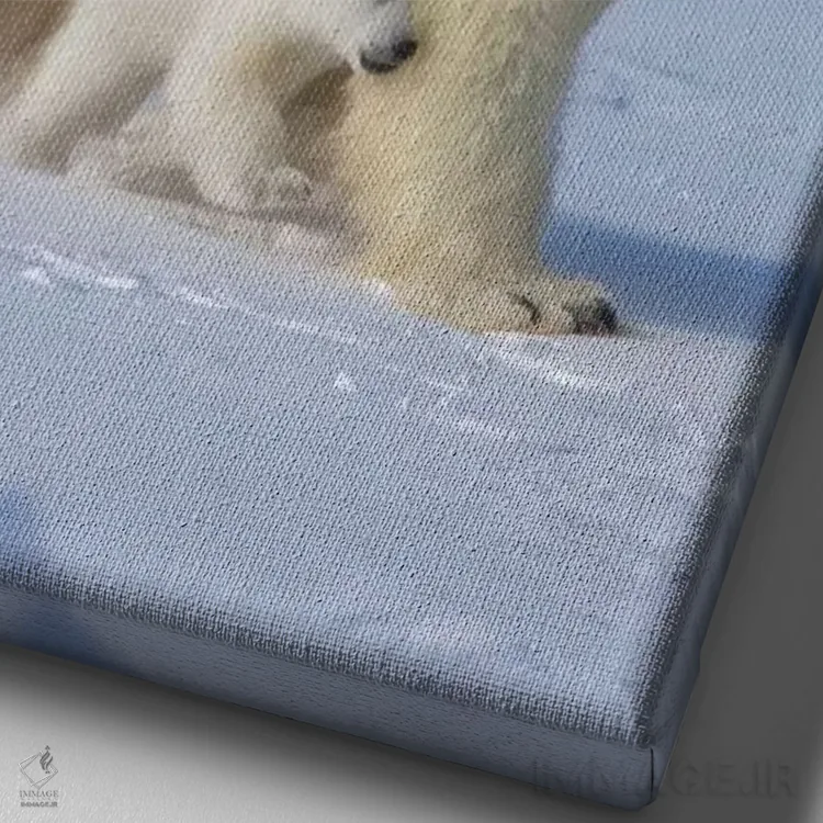 تابلو دکوراتیو خرس قطبی ماده با سه توله در توندرا، پارک ملی واپاسک، منیتوبا، کا… اثر کرن سو - نمای نزدیک بافت بوم