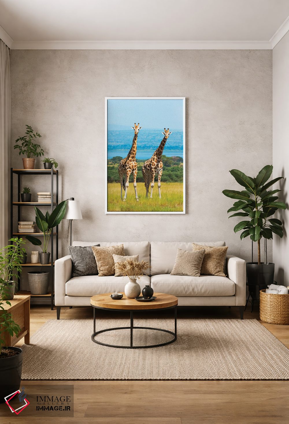 تابلو دکوراتیو زرافه ها در ساوانا، پارک ملی آبشار مورچیسون، اوگاندا اثر کرن سو - D1W