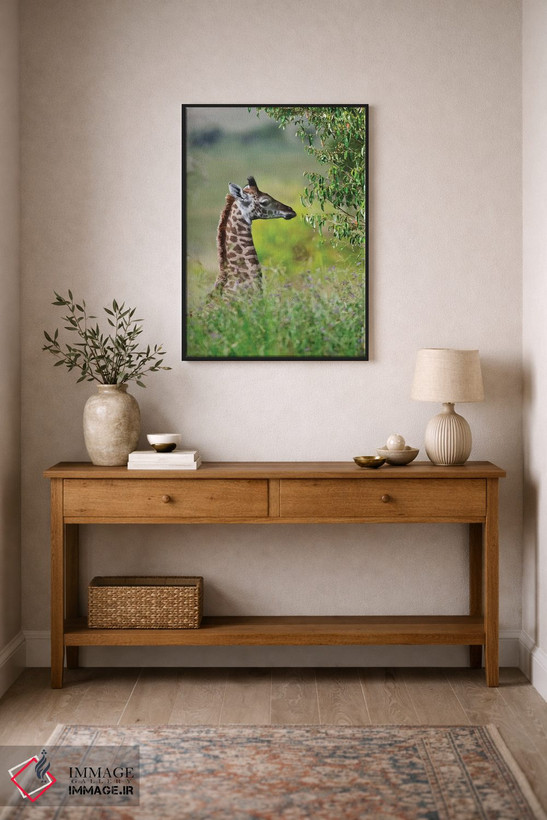 تابلو دکوراتیو Maasai Mara National Reserve, Kenya,زرافه بچه، پارک ملی ماسایی م… اثر کرن سو - D2B