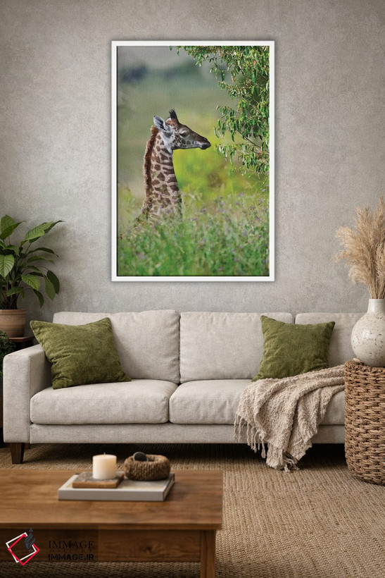 تابلو دکوراتیو Maasai Mara National Reserve, Kenya,زرافه بچه، پارک ملی ماسایی م… اثر کرن سو - D1W