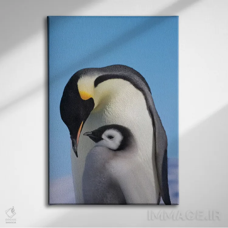 تابلو دکوراتیو Snow Hill Island, Antarctica,پنگوئن امپراتور به همراه جوجه روی ی… اثر کرن سو - نمای روبهرو روی دیوار
