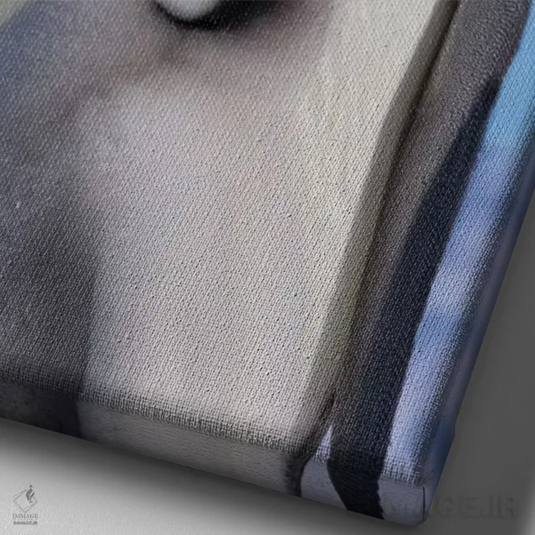 تابلو دکوراتیو Snow Hill Island, Antarctica,پنگوئن امپراتور به همراه جوجه روی ی… اثر کرن سو - نمای نزدیک بافت بوم