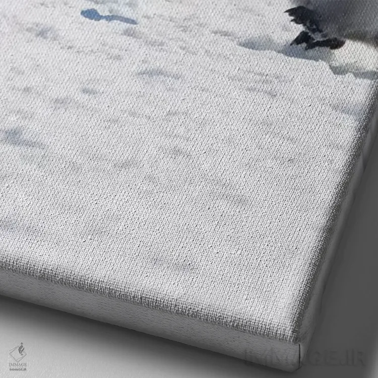 تابلو دکوراتیو Snow Hill Island, Antarctica,جوجه های پنگوئن امپراتور روی یخ، جز… اثر کرن سو - نمای نزدیک بافت بوم