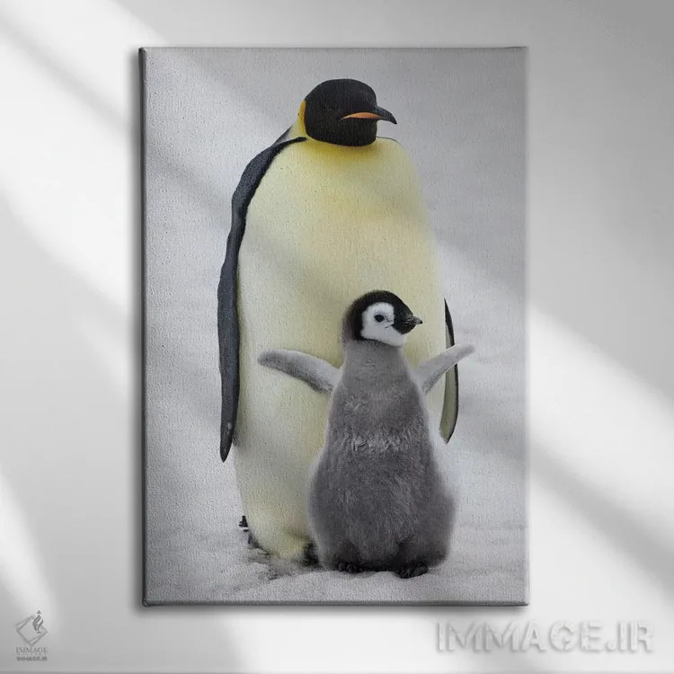 تابلو دکوراتیو Snow Hill Island, Antarctica,پنگوئن امپراتور به همراه جوجه روی ی… اثر کرن سو - نمای روبهرو روی دیوار