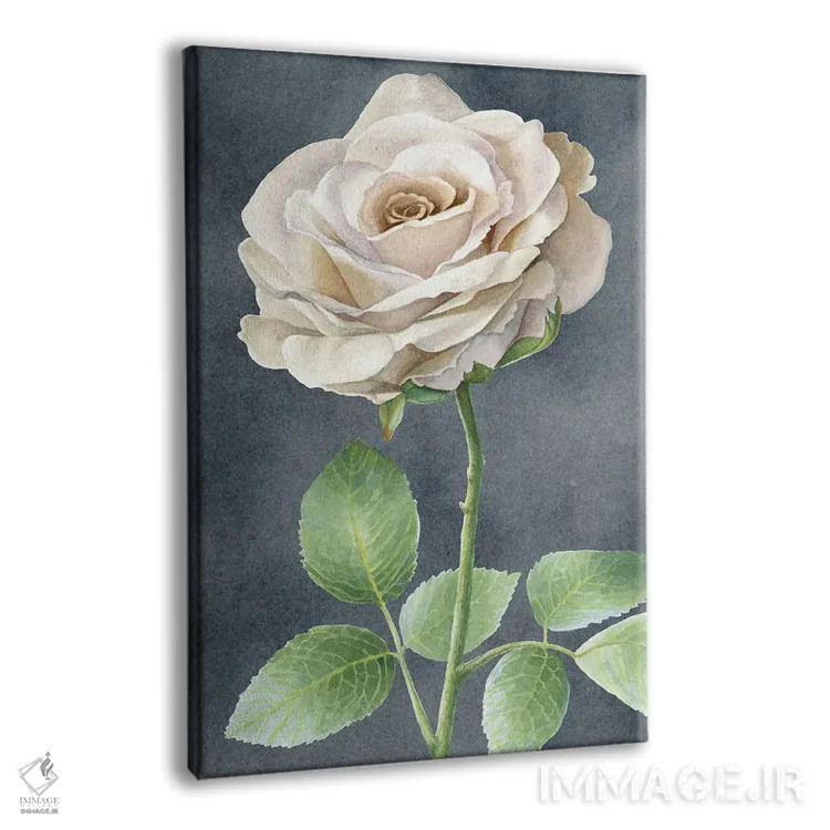 تابلو دکوراتیو رزهای عاجی روی پنل طوسی I اثر کلسی ویلسون - نمای پرسپکتیو محصول