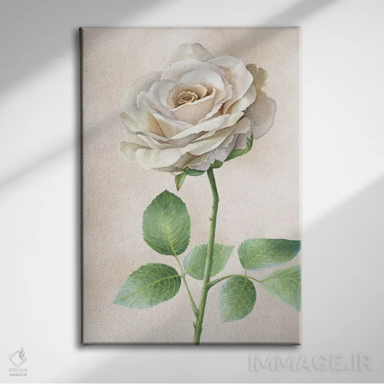 تابلو دکوراتیو پنل رزهای عاجی I اثر کلسی ویلسون - نمای روبهرو روی دیوار