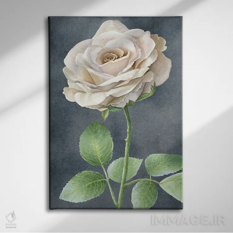 تابلو دکوراتیو رزهای عاجی روی پنل طوسی I اثر کلسی ویلسون - نمای روبهرو روی دیوار