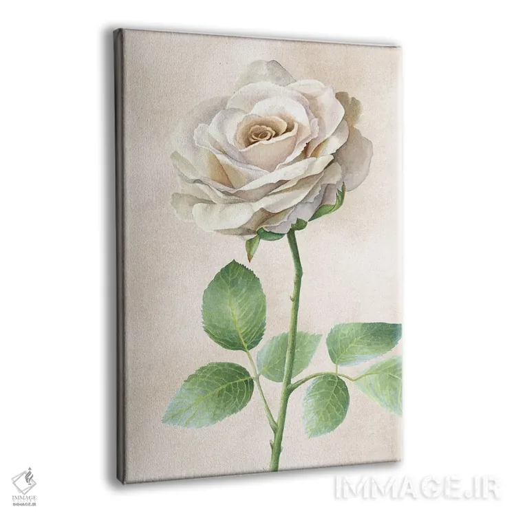 تابلو دکوراتیو پنل رزهای عاجی I اثر کلسی ویلسون - نمای پرسپکتیو محصول
