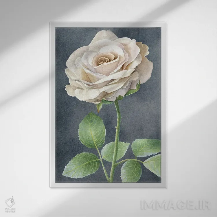 تابلو دکوراتیو رزهای عاجی روی پنل طوسی I اثر کلسی ویلسون - نمای قابدار سفید
