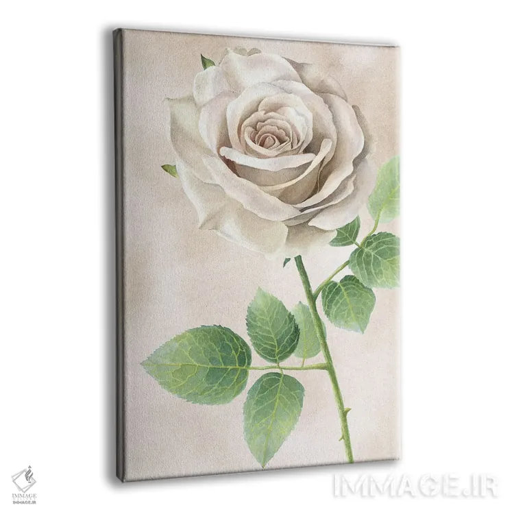 تابلو دکوراتیو پنل رزهای عاجی II اثر کلسی ویلسون - نمای پرسپکتیو محصول