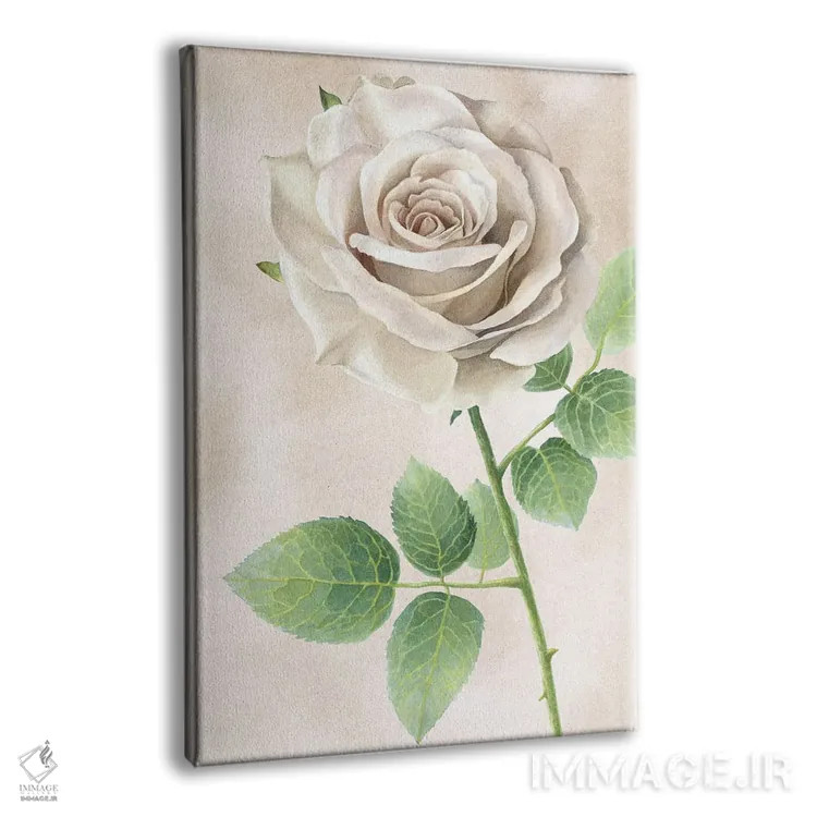 تابلو دکوراتیو پنل رزهای عاجی II اثر کلسی ویلسون - نمای پرسپکتیو محصول