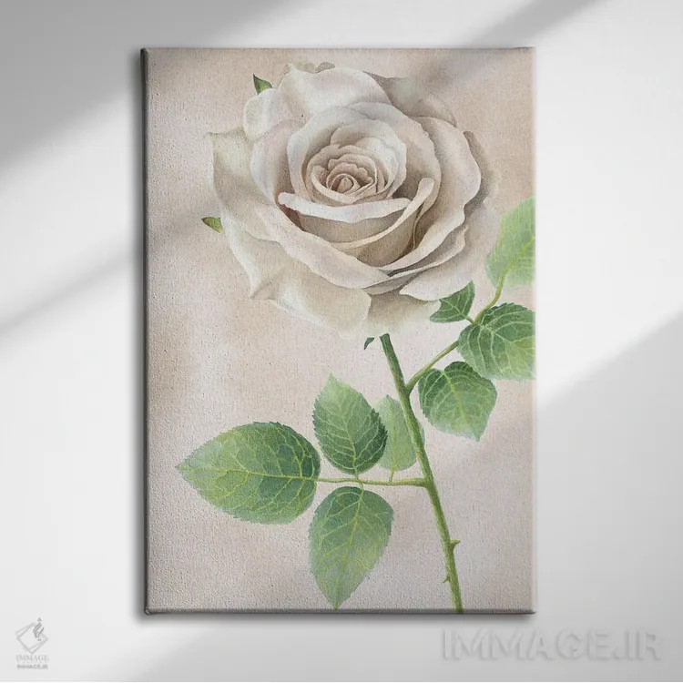 تابلو دکوراتیو پنل رزهای عاجی II اثر کلسی ویلسون - نمای روبهرو روی دیوار